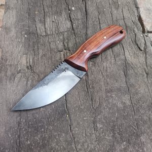 BBD model hunter