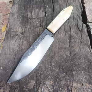 Texas Bowie
